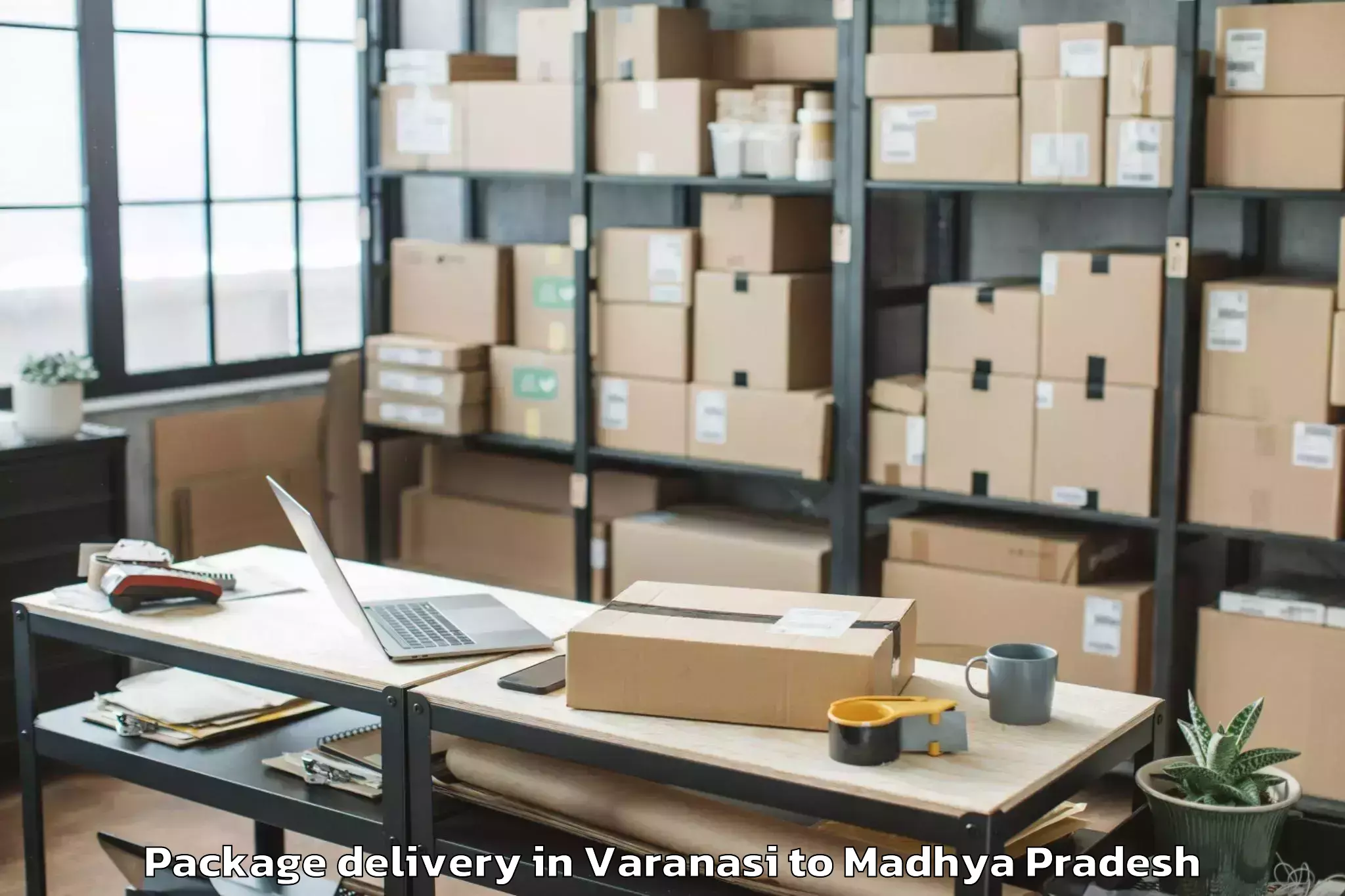 Quality Varanasi to Lashkar Package Delivery